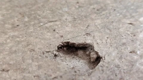 Concrete surfaces are peeling or spalling. due to extreme weather 스톡 동영상 330518520