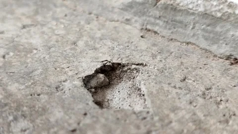 Concrete surfaces are peeling or spalling. due to extreme weather 스톡 동영상 330518521