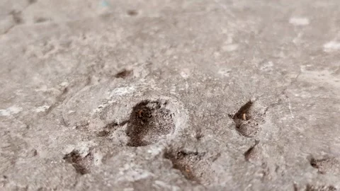 Concrete surfaces are peeling or spalling. due to extreme weather 스톡 동영상 330518522