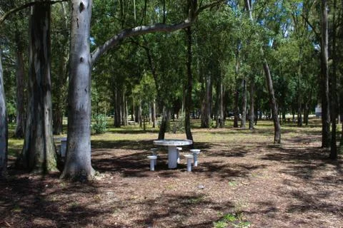 Concrete table in the park. Foto stock