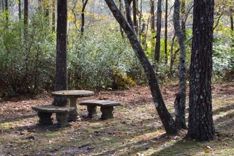 Concrete Table In Woods Stock Photos