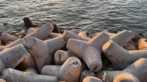 Concrete tetrapods Stock-Footage 307813205