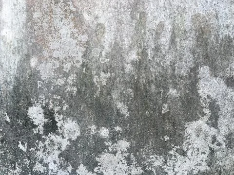 Concrete texture for background with copy space, Top view Stock Photos
