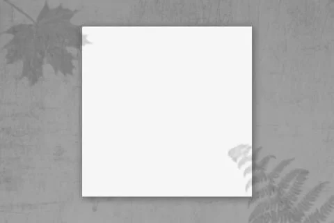 Concrete Texture Background with free space for photo or text or etc. Stock Illustration