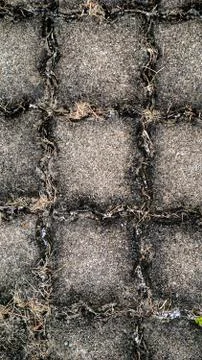 Concrete texture with dried grass Stock Photos