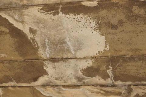 Concrete Texture Stock Photos