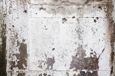 Concrete texture. Stock-Fotos