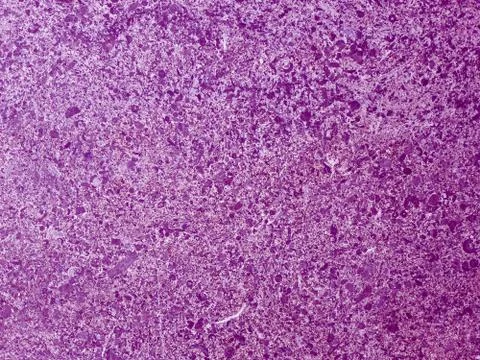 Concrete texture Stock Photos