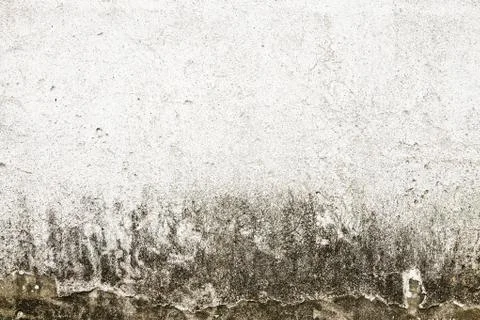 Concrete texture 写真素材