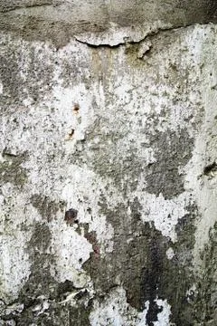 Concrete texture Stock Photos