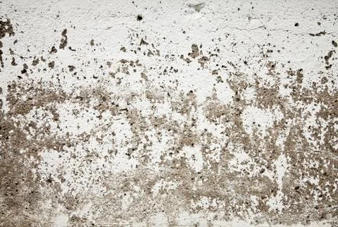 Concrete texture Stock-Fotos