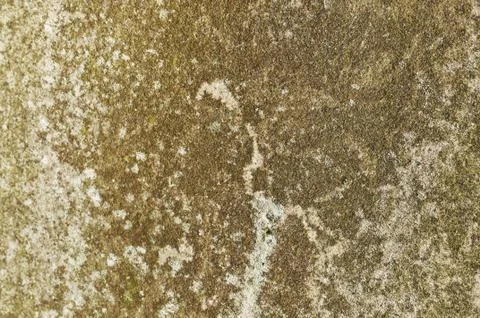 Concrete texture Stock Photos