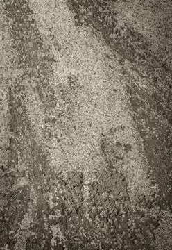 Concrete texture Stock Photos