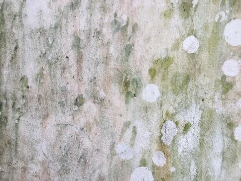 Concrete texture wall space background for design Stock Photos