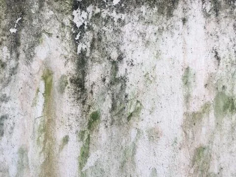 Concrete texture wall space background for design Stock Photos