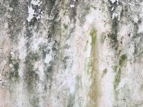 Concrete texture wall space background for design Stock-Fotos