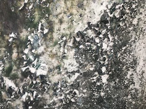 Concrete texture wall space background for design Stock-Fotos