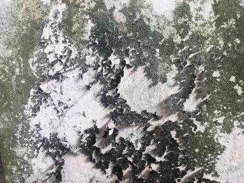 Concrete texture wall space background for design Stock Photos