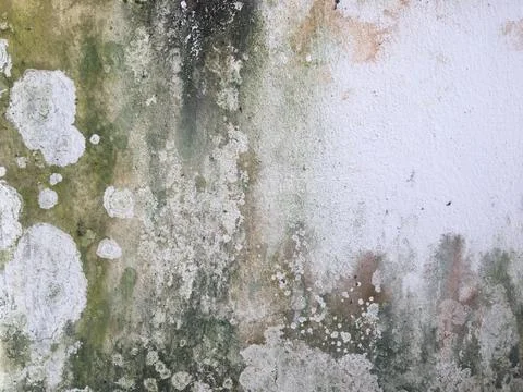 Concrete texture wall space background for design Foto stock