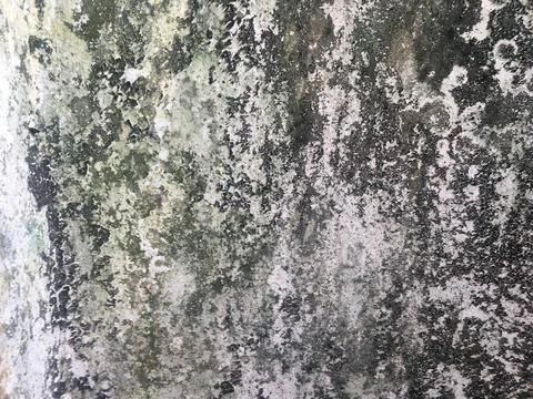 Concrete texture wall space background for design Foto stock