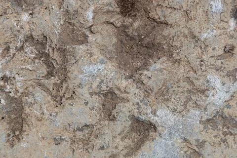 Concrete textures quality Stock Photos