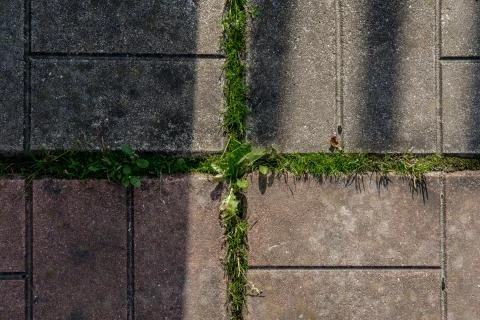 Concrete tile background. Stock Photos