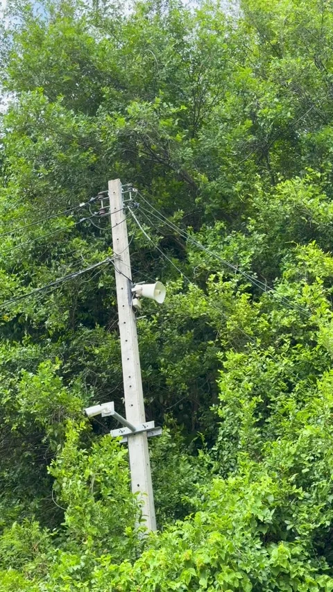 Concrete Utility Pole with Loudspeaker and CCTV Camera in Lush Forest Stock Footage 346016787
