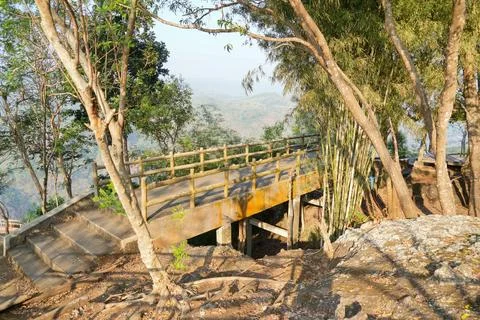 Concrete viewing platform bridge surrounded by green trees and bamboo. Stock-Fotos