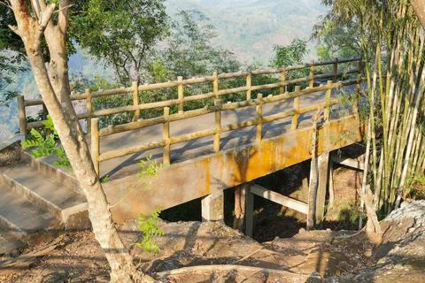 Concrete viewing platform bridge surrounded by green trees and bamboo. 스톡 사진
