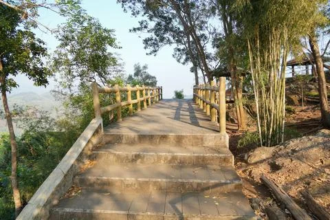Concrete viewing platform bridge surrounded by green trees and bamboo. 스톡 사진