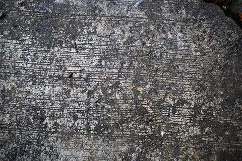 Concrete Walkway Pattern On The Ground Stock Photos