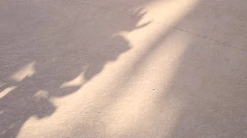 Concrete wall and falling shadows from palm trees at sunset. Stock Footage 150418156