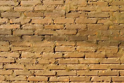 Concrete wall as the background texture Stock Photos