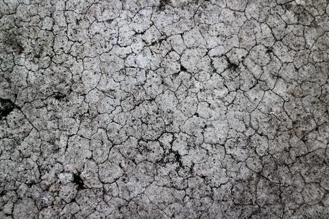 Concrete wall as the background texture Stock Photos