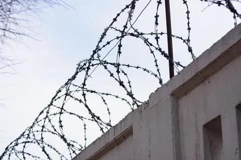Concrete wall with barbed wire. Coneception of prisons Stock Photos
