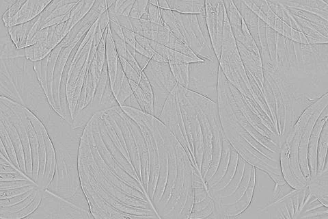 Concrete wall with gray leaf texture, abstract simple backgrounds Stock Photos