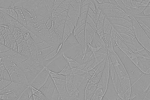 Concrete wall with gray leaf texture, abstract simple backgrounds Stock Photos