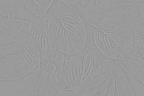 Concrete wall with gray leaf texture, abstract simple backgrounds Stock Photos