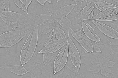 Concrete wall with gray leaf texture, abstract simple backgrounds Stock Photos