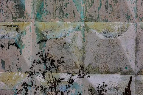 A concrete wall with a pattern of square blocks. An old painted concrete wall Stock Photos