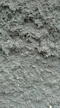 Concrete Wall Stock Photos