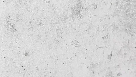 Concrete wall plaster cement background Stock Footage 128209400