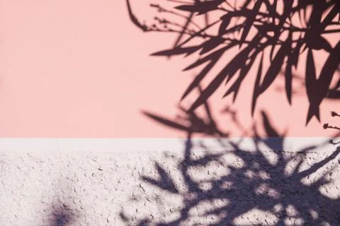 Concrete wall with shadows from trees. Surface texture. Abstract grunge bright Stock Photos