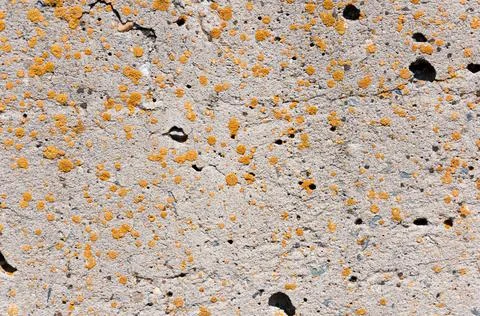 Concrete wall surface texture.Close-up shot. Stock Photos