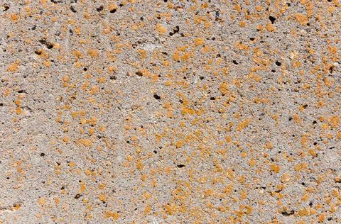 Concrete wall surface texture.Close-up shot. Stock Photos