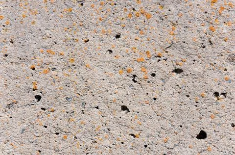 Concrete wall surface texture.Close-up shot. Stock Photos