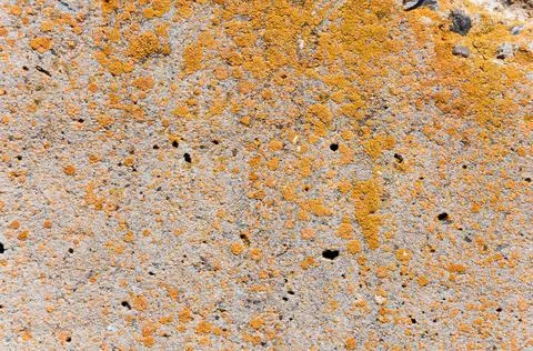 Concrete wall surface texture.Close-up shot. Stock Photos
