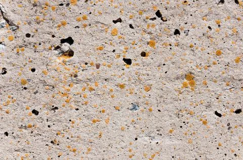 Concrete wall surface texture.Close-up shot. Stock Photos