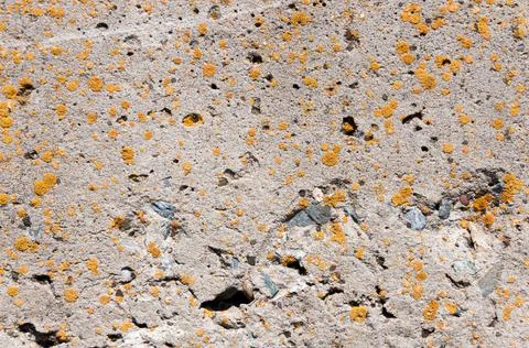 Concrete wall surface texture.Close-up shot. Stock Photos