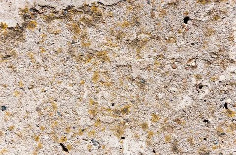 Concrete wall surface texture.Grunge backdrop. Stock Photos